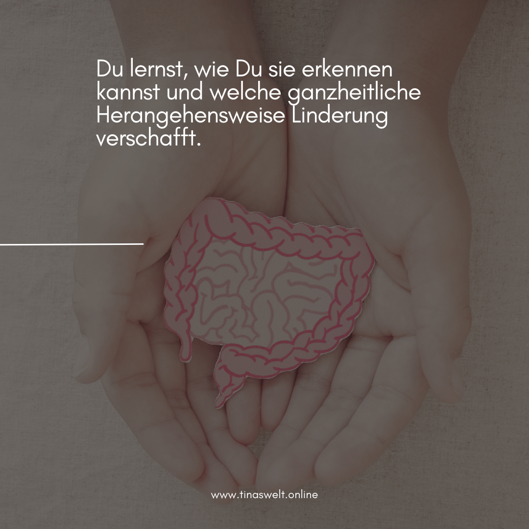 Stille Entzündungen - die unsichtbare Gefahr | Vortrag 18.11.