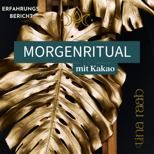 MoonBrew Erfahrung: Mein schönstes Morgenritual